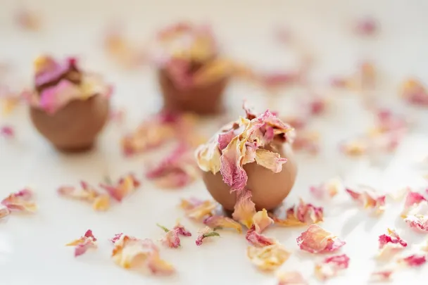 Casino Generation VIP Android/iOS App